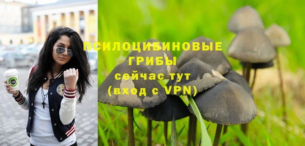 трава Армянск