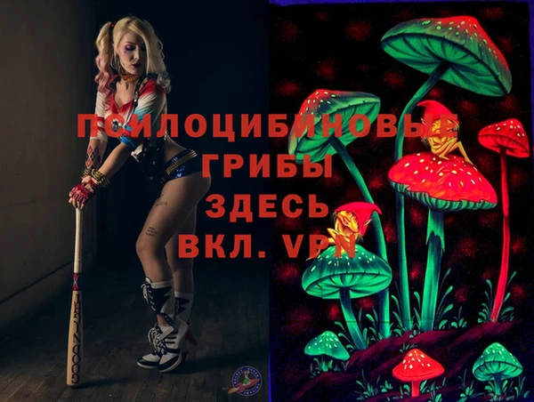 трава Армянск