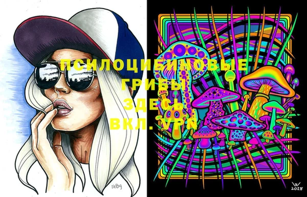 мяу мяу мука Балахна