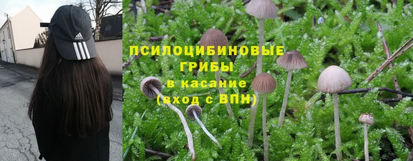 гидропоника Балабаново